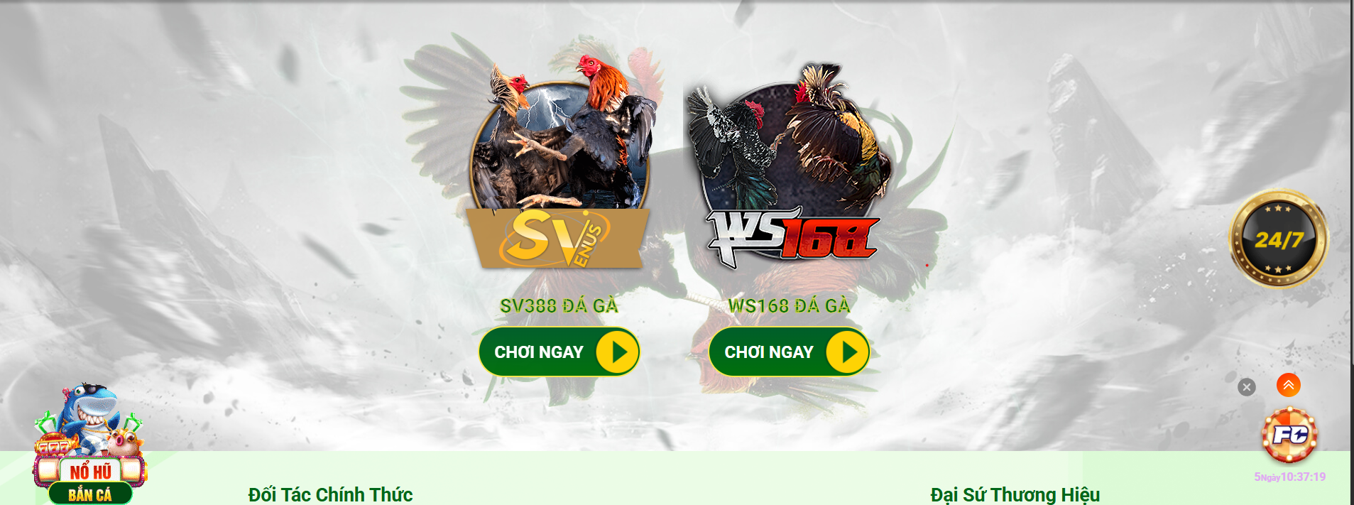 Kinh nghiệm cá cược Đá gà QQ88 để thắng lớn